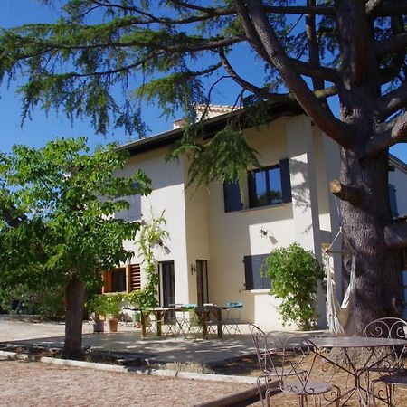Le Grand Cedre - 2 Chambres D'Hotes - Sud Ardeche Bourg-Saint-Andeol Luaran gambar