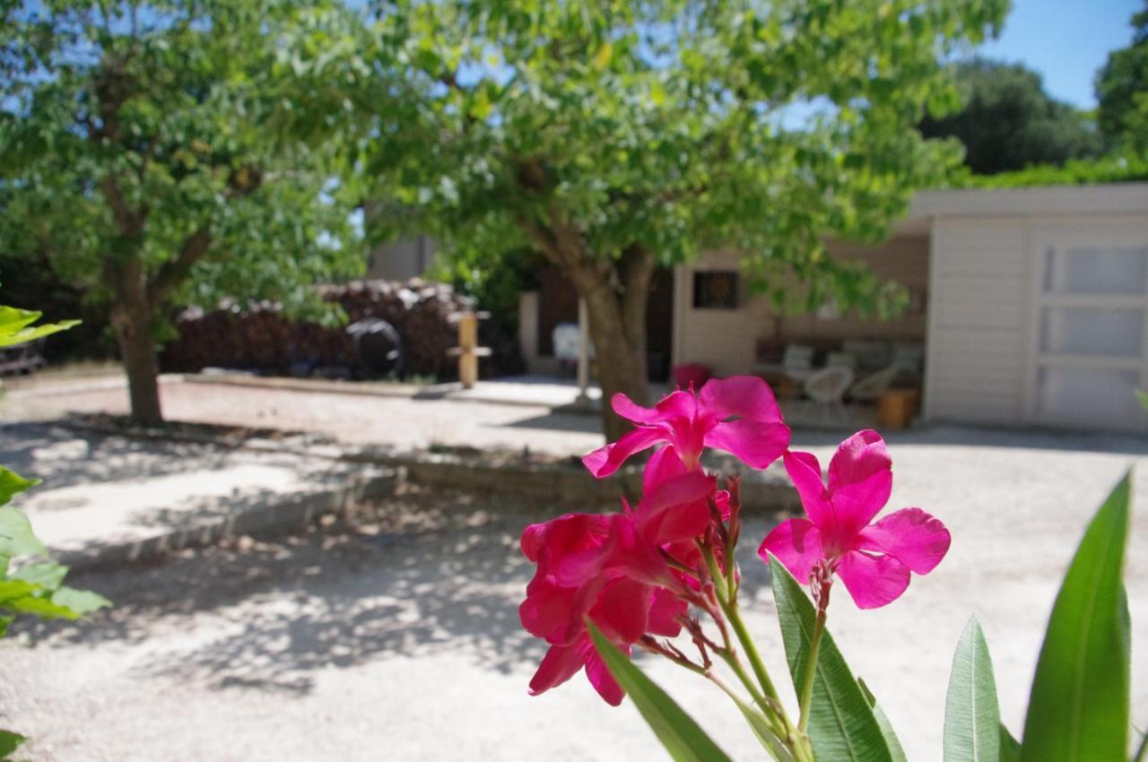 Le Grand Cedre - 2 Chambres D'Hotes - Sud Ardeche Bourg-Saint-Andeol Luaran gambar